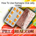 How To Use Kamagra Oral Jelly 100Mg new13